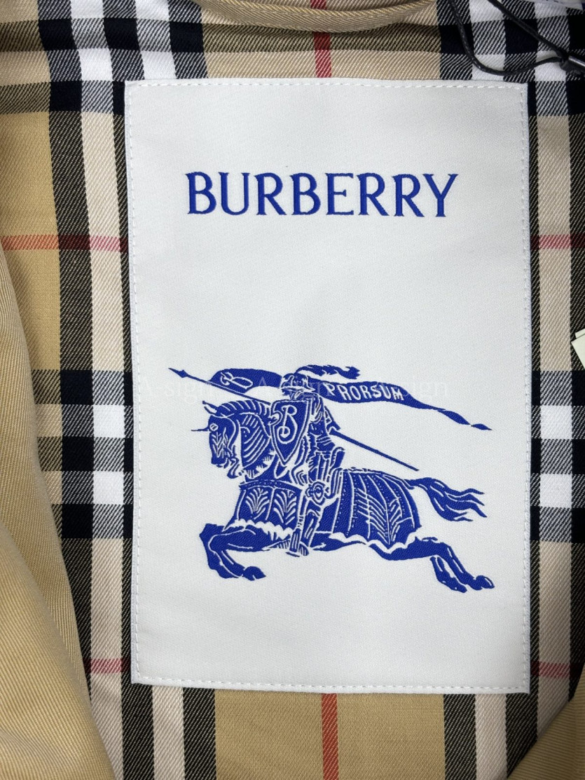 332635f6c9e4db2f6c3753a1e2e15e7b_1788418972_0704.jpg
