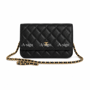 샤넬 WOC 플랩백 19 [정상가 500만원대]
